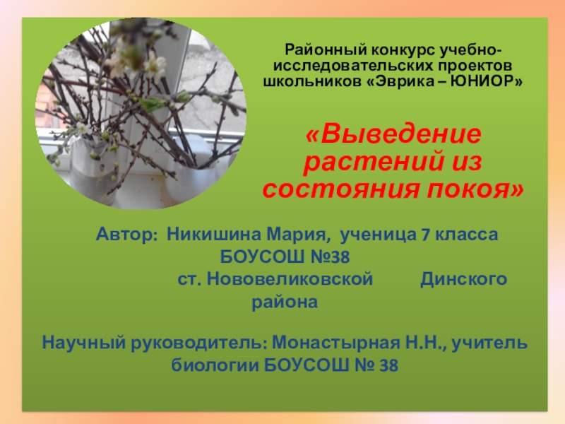 Презентация Научно-исследовательская работа и презентация на тему Выведение растений из состояния покоя