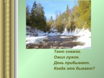 Презентация по окружающему миру