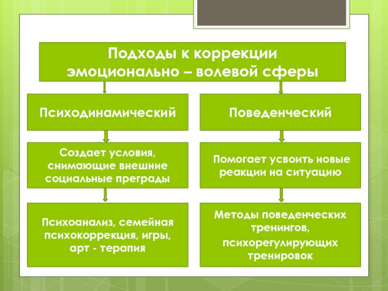 Принципы психокоррекционной работы с детьми с проблемами в развитии презентация