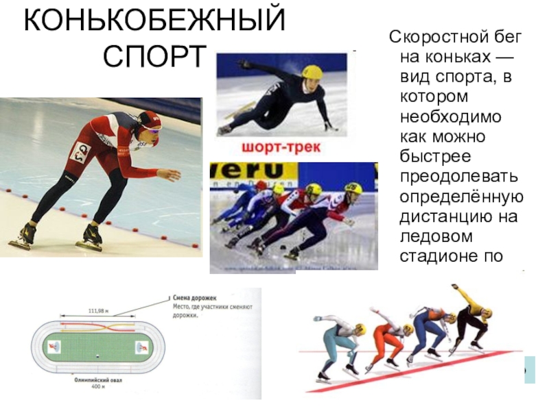 Реферат По Физкультуре Конькобежный Спорт