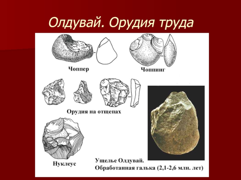 Доклад по теме Каменный век Кавказа