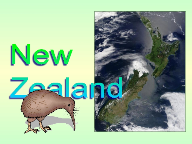 Презентация Презентация по английскому языку на тему Новая Зеландия