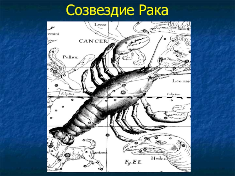 Презентация на тему созвездие рака 11 класс