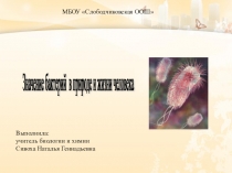 Презентация по биологии 5 класс по теме: Значение бактерий в природе и жизни человека.