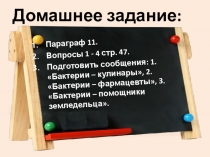 Презентация по биологии на тему Строение и многообразие бактерий (5 класс)