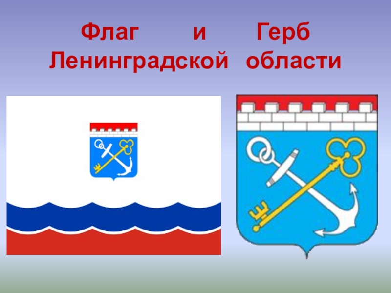 Герб и флаг ленинградской области фото