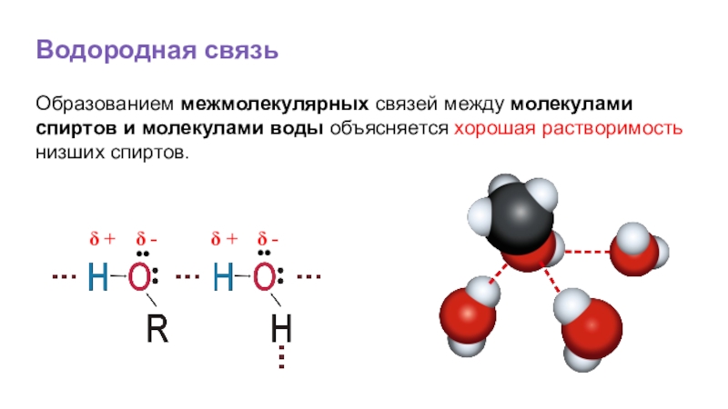 Между молекулами спиртов образуются связи