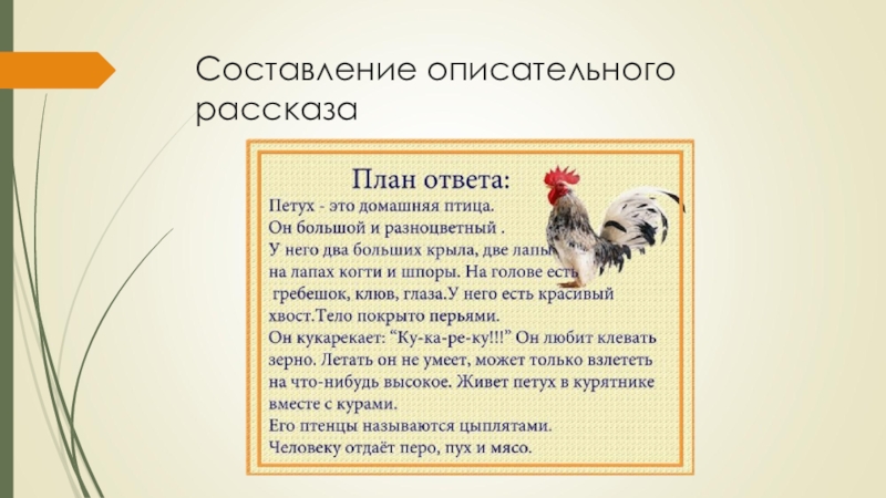 Составление описаний. Рассказ о домашних птицах. Составление рассказа о домашних птицах. Схема описательного рассказа домашние птицы. Составление описательного рассказа о домашних птицах.