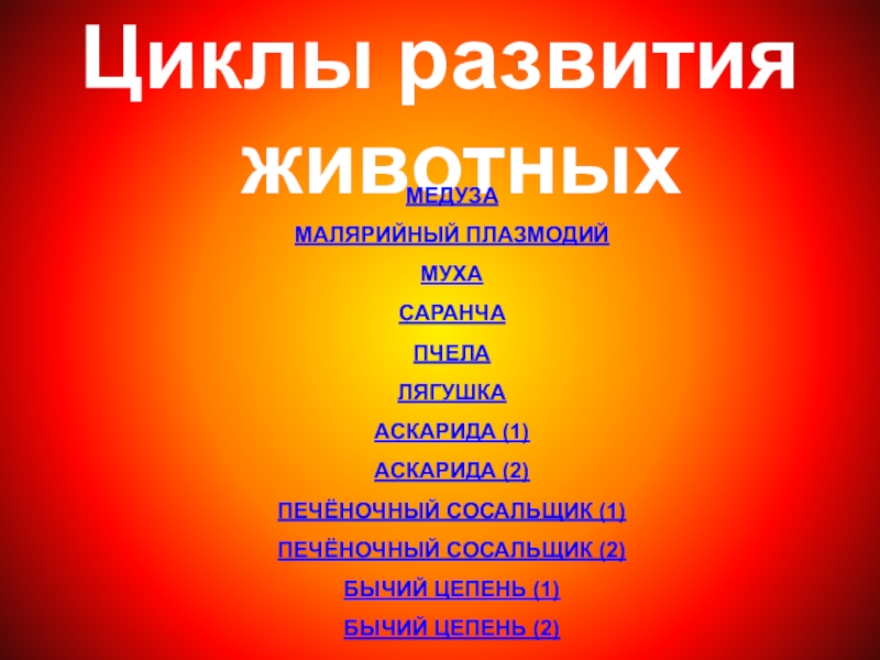 Циклы развития животныхМЕДУЗАМАЛЯРИЙНЫЙ ПЛАЗМОДИЙМУХАСАРАНЧАПЧЕЛАЛЯГУШКААСКАРИДА (1)АСКАРИДА (2)ПЕЧЁНОЧНЫЙ СОСАЛЬЩИК (1)ПЕЧЁНОЧНЫЙ СОСАЛЬЩИК (2)БЫЧИЙ ЦЕПЕНЬ (1)БЫЧИЙ ЦЕПЕНЬ (2)