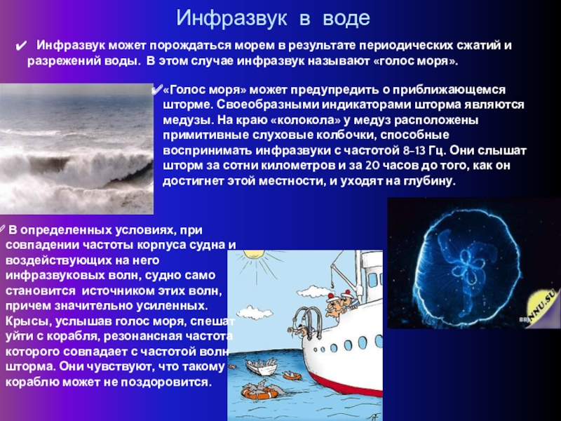 Инфразвук картинки для презентации