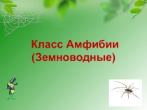 Презентация по биологии на тему Класс Земноводные (7 класс)
