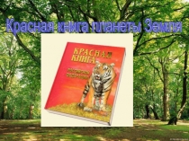 Презентация Красная книга планеты Земля