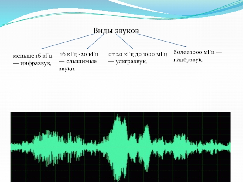 Реферат: Ультразвуки в живой природе