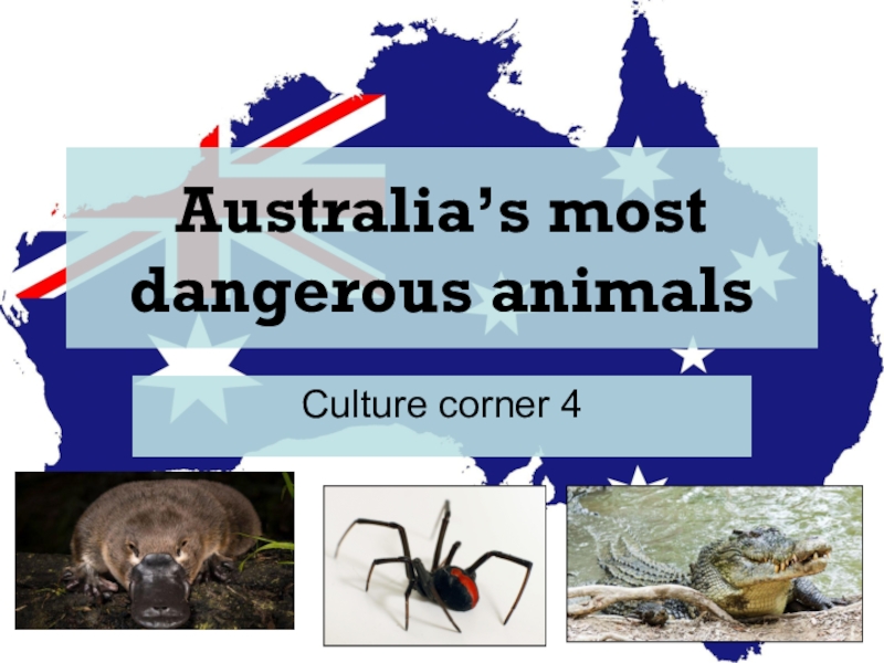 Animals in danger at present. Опасные животные Австралии на английском. Опасные животные Австралии проект на английском. Australia most Dangerous animals 7 класс.