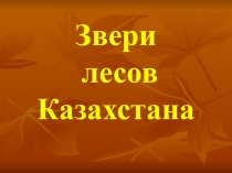 Звери лесов Казахстана
