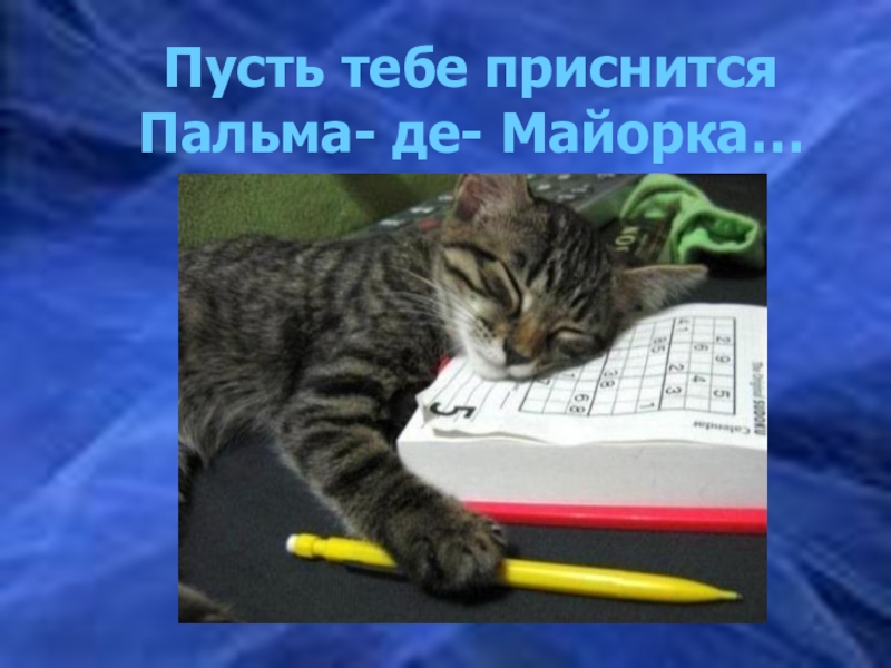 Шуфутинский пусть тебе приснится пальма. Пусть тебе приснится Пальма де Майорка. Пусть тебе приснится Пальма. Пусть тебе приснится Пальма-де-Майорка картинки. Пусть тебе приснится Пальма-де-Майорка текст.