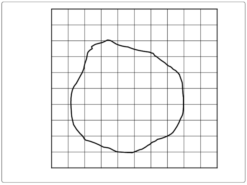 Края неправильной формы. Фигуры для измерения палеткой. Измерение площади фигуры с помощью палетки. Фигуры для работы с палеткой. Фигура неправильной формы.