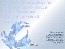 Презентация к лабораторной работе по биологии для 5 класса Строение мышечных и нервных тканей животных