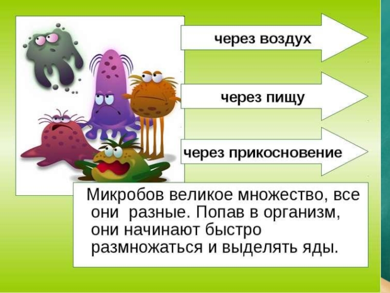 Микробы проект 5 класс