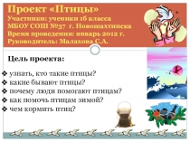 Презентация Проект Птицы