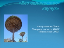 Презентация по химии на тему Каучук (10 класс)