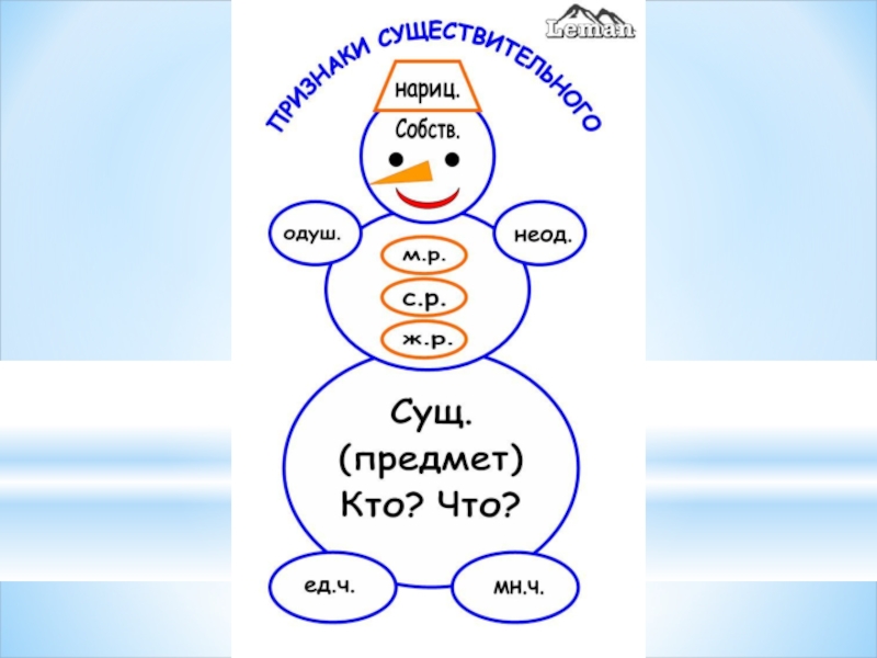 Имя существительное в картинках