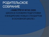 Презентация Навстречу ФГОС ООО