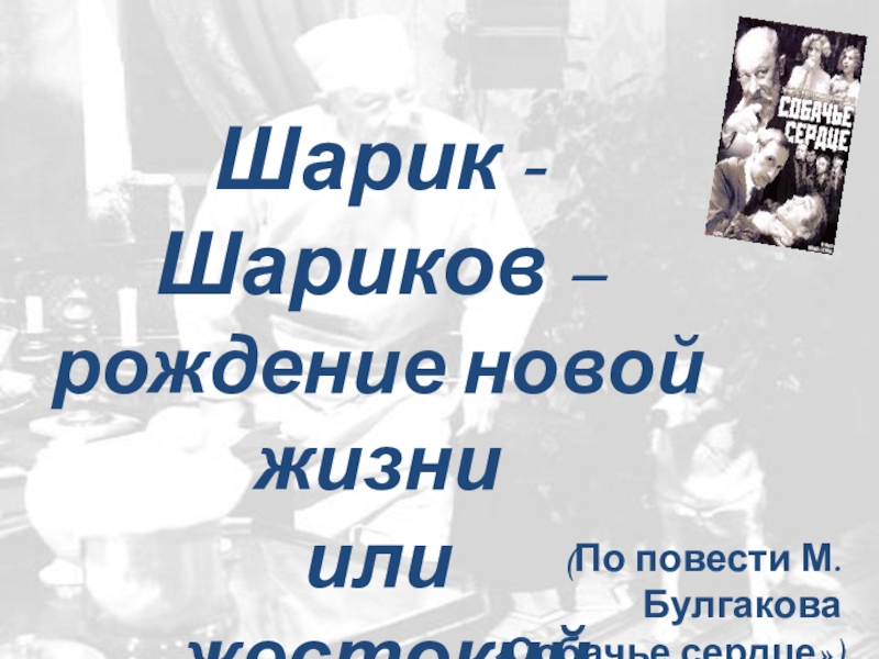 Урок по повести булгакова собачье сердце 9 класс презентация