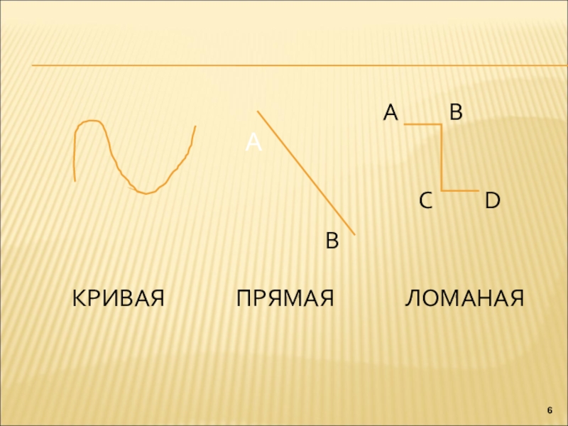 Ломаная 5