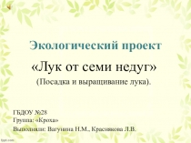 Презентация по проекту Посадка лука