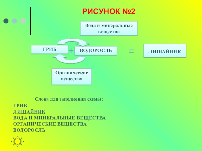 Гриб обеспечивает органическими веществами водоросль. Органические вещества лишайнику поставляет. Вещества слова.