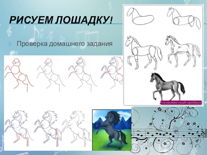 Лошадка 5 класс. Конь рисунок. Нарисовать лошадь. Этапы рисования лошади. Конь срисовать.