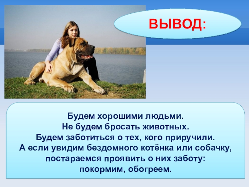 Бездомные собаки в городской среде и опасность для здоровья человека проект экология