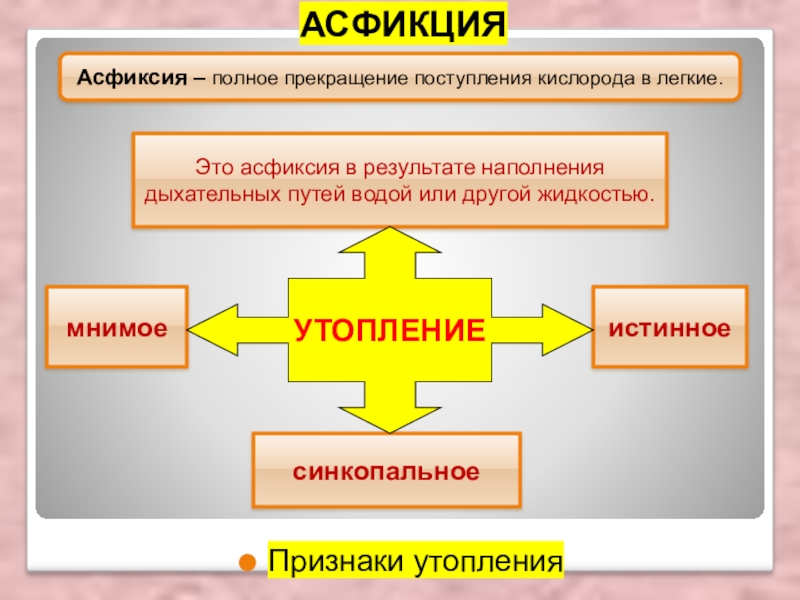 Первая помощь 8 класс биология презентация