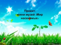 : Мир насекомых