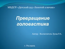 Превращение лягушки