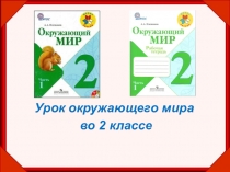 Презентация по окружающему миру на тему Красная книга (2 класс)