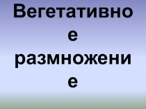 Вегетативное размножение растений
