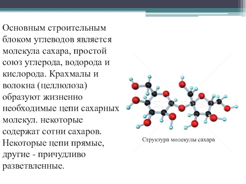 Что является молекулой. Молекула сахара состоит. В состав молекулы сахара входят. Сахар состоит из молекул. Состав молекулы сахара химический.