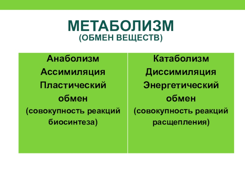 Высокий метаболизм это хорошо или плохо. Пластический обмен ассимиляция. Анаболизм пластический обмен. Пластический обмен анаболизм ассимиляция. Анаболизм это совокупность реакций.