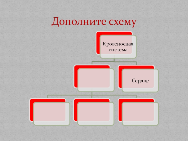 Дополните схему. Дополнить схему кровеносная система. Дополните схему кровеносная система сердце. Дополните схему система права.