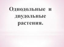 Презентация по биологии на тему:  Однодольные и двудольные растения
