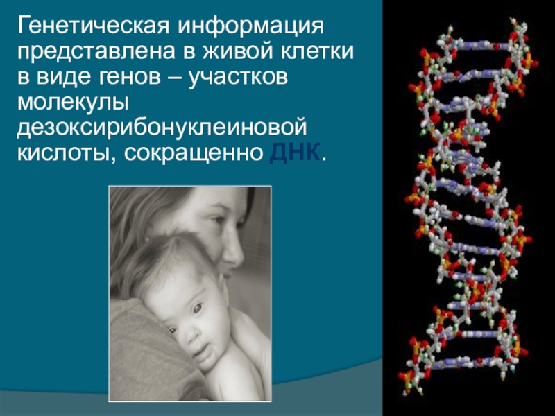 Генетическая информация это. Генетическая информация. Генетика информация. Виды генетической информации. Геномная информация.