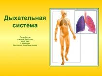 Презентация по биологии на тему: Дыхательная система( 8 класс)