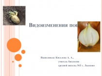 Видоизменения побегов