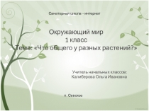 Презентация по окружающему миру Что общего у разных растений (1 класс)