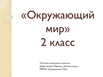 Презентация по окружающему миру на тему В школу (2 класс)