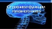 Презентация по биологии на тему Головной мозг