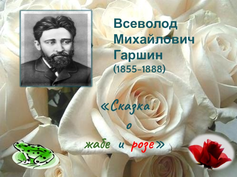 Сказка о жабе и розе главная мысль. В М Гаршин жаба и роза. Гаршин Всеволод Михайлович жаба и роза. В М Гаршина сказка о жабе и Розе. Всеволод Михайлович Гаршин сказка о жабе и Розе.