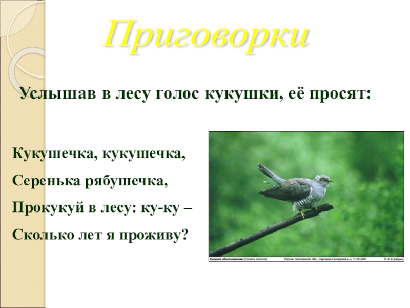 Народные заклички приговорки потешки перевертыши 2 класс перспектива презентация